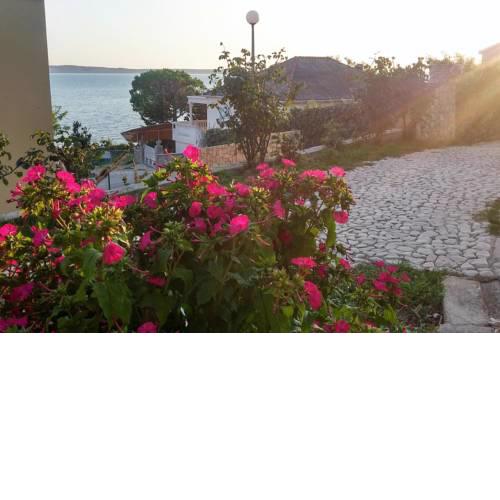 Apartments by the sea Rtina - Stosici, Zadar - 5883