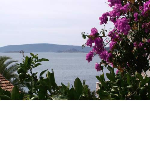 Apartments by the sea Seget Vranjica, Trogir - 2037