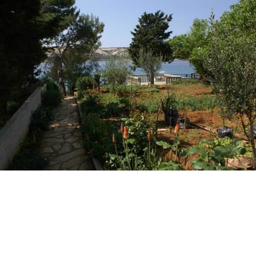 Apartments by the sea Stara Novalja, Pag - 4063