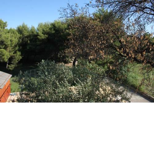 Apartments by the sea Vodice - 4248
