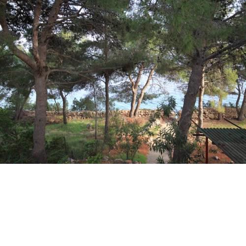 Apartments by the sea Zavala, Hvar - 8774