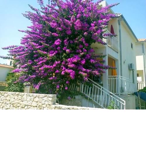 Apartments Dalmi