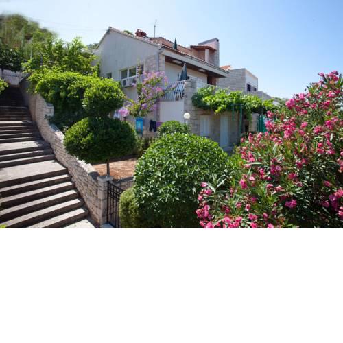 Apartments Damir