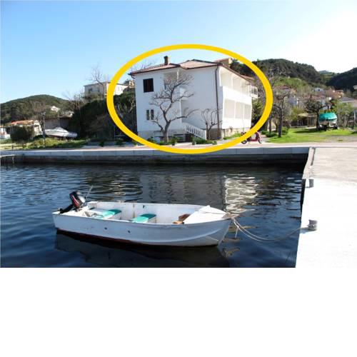 Apartments Darko
