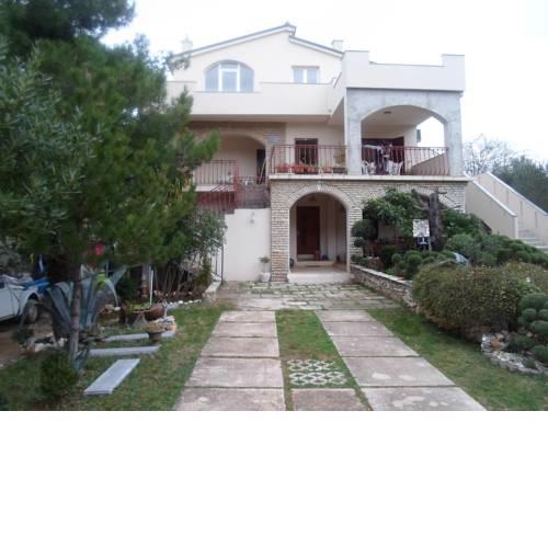 Apartments Davor