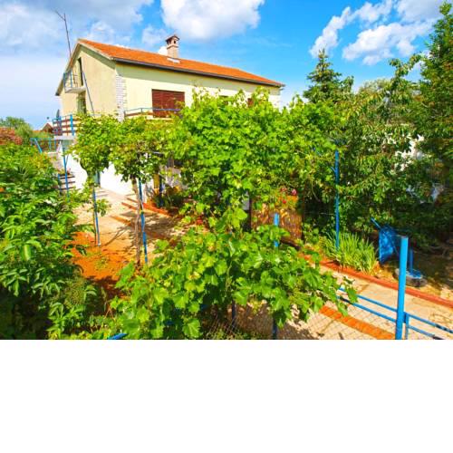 Apartments Desanka 972