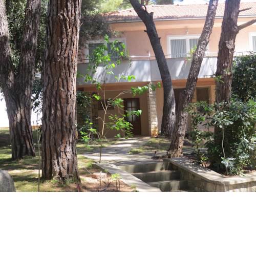 Apartments Diana & Josip