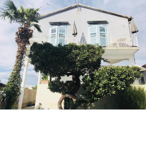 Apartments Dile
