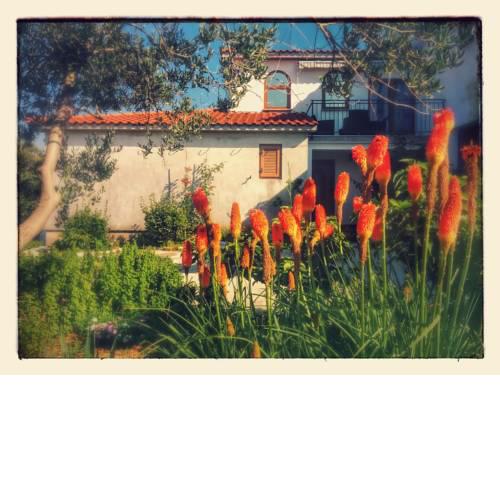 Apartments Dolores