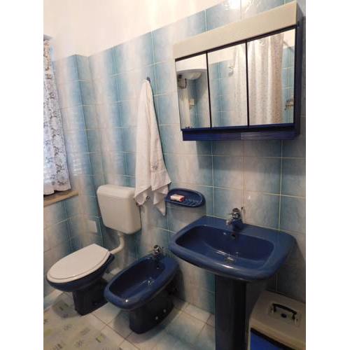 Apartments Dragica