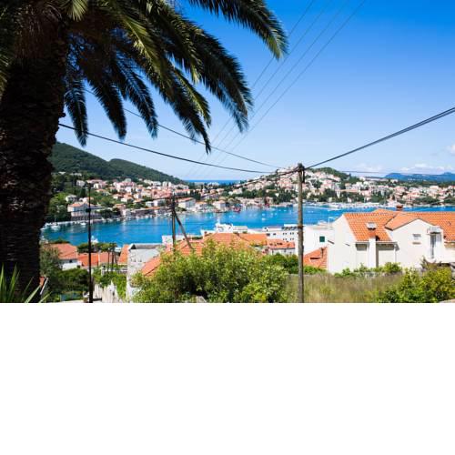 Apartments Dubrovnik Palm Tree Paradise