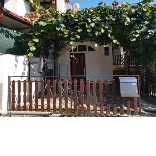 Apartments Erhart