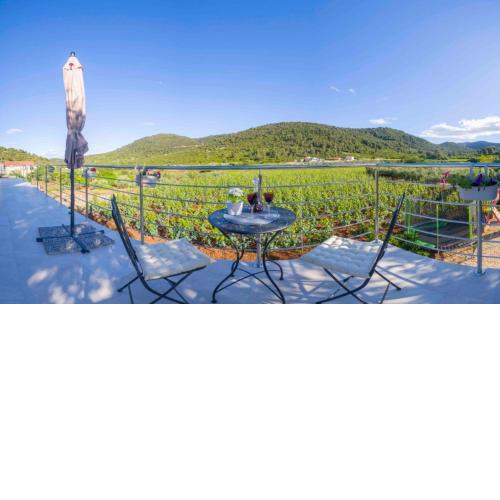 Apartments Filip - vineyard and large terrace