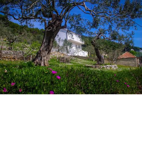 Apartments Frano Ropa