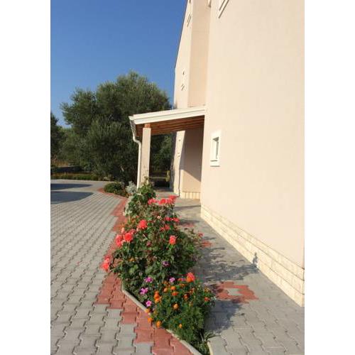 Apartments Franov