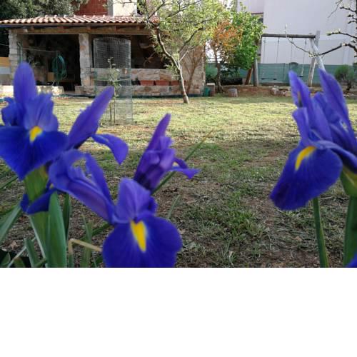 Apartments Gorka