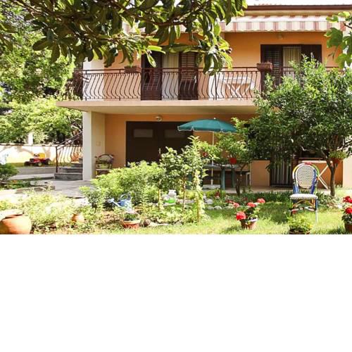 Apartments im Haus MAGINJA Petrcane - CDN021022-EYA