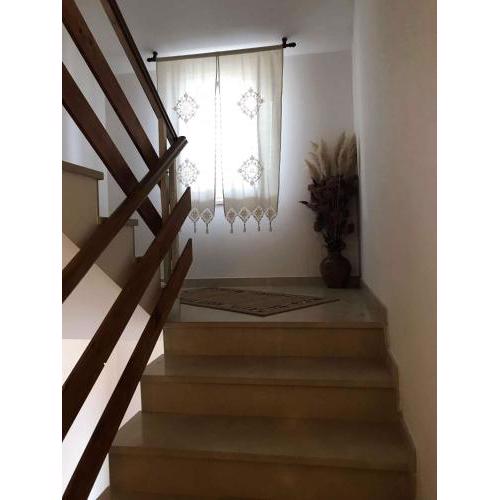 Apartments in Cres - Insel Cres 41849