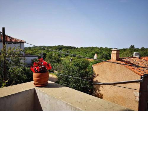 Apartments in Filozici - Insel Cres 41850