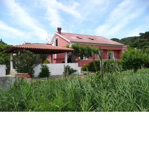 Apartments in Kampor/Insel Rab 17712