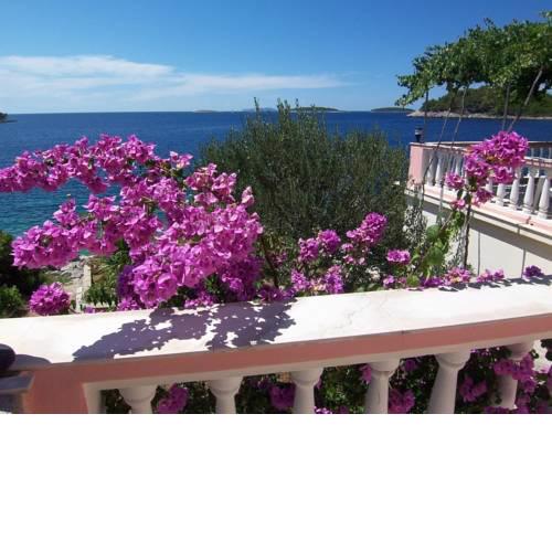 Apartments in Karbuni/Insel Korcula 31383