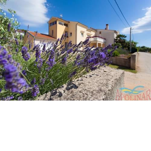 Apartments in Kremenici/Insel Krk 36095