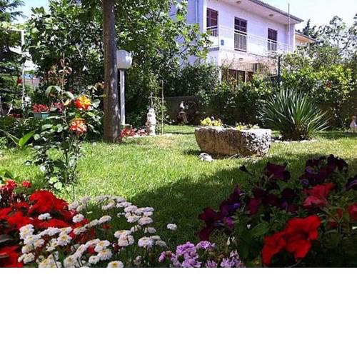 Apartments in Novi Vinodolski 35696