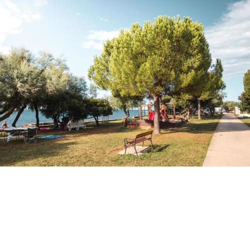 Apartments in Novigrad Istrien 9484