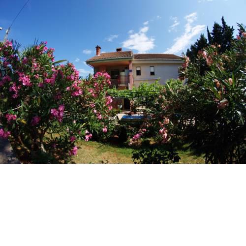 Apartments in Premantura/Istrien 10704