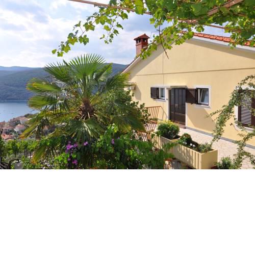 Apartments in Rabac 16831