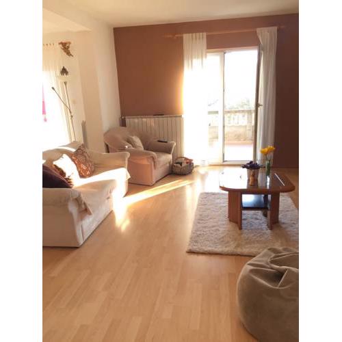 Apartments in Rab/Insel Rab 26747