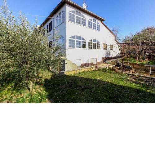 Apartments in Sveti Lovrec/Istrien 36548