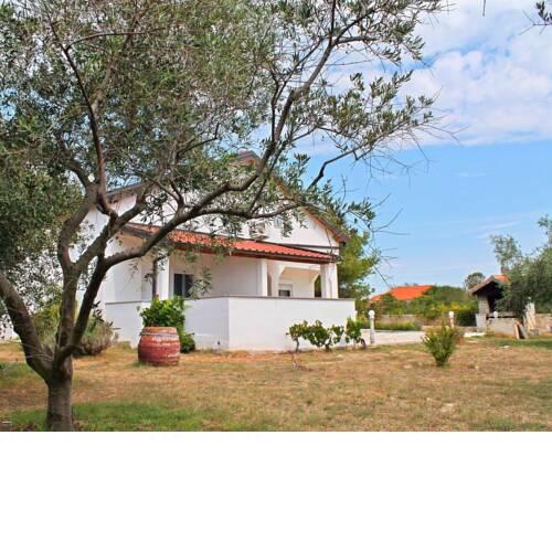 Apartments in Vir - Insel Vir 41569