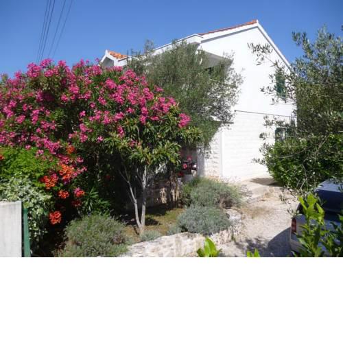 Apartments in Zdrelac/Insel Pasman 38162