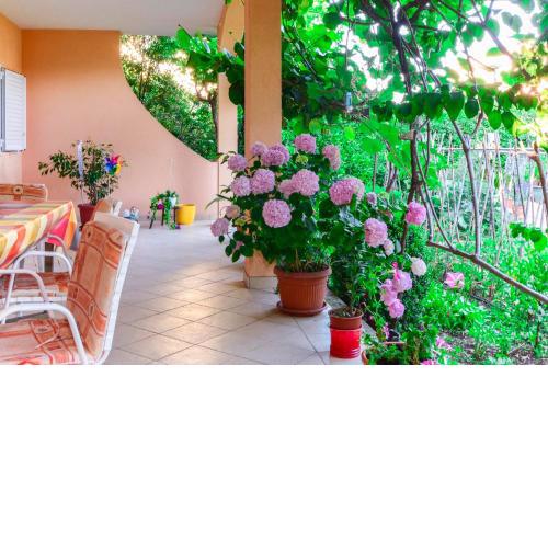 Apartments Ivo