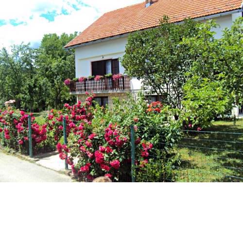 Apartments Ivona