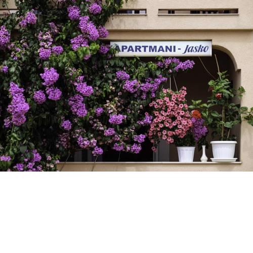 Apartments Jasko