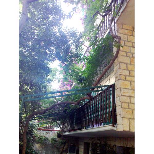 Apartments Kasalo Makarska