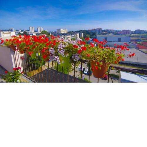 Apartments Katica