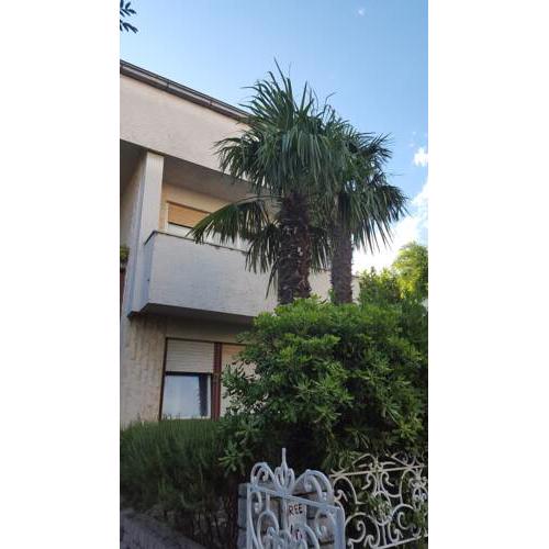 Apartments LARISA 2