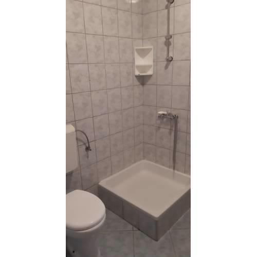 Apartments Lega