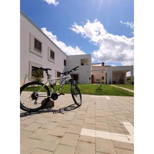 Apartments Leticia