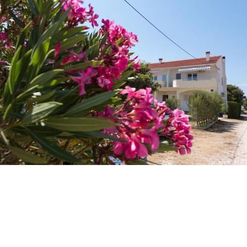 Apartments Maćo