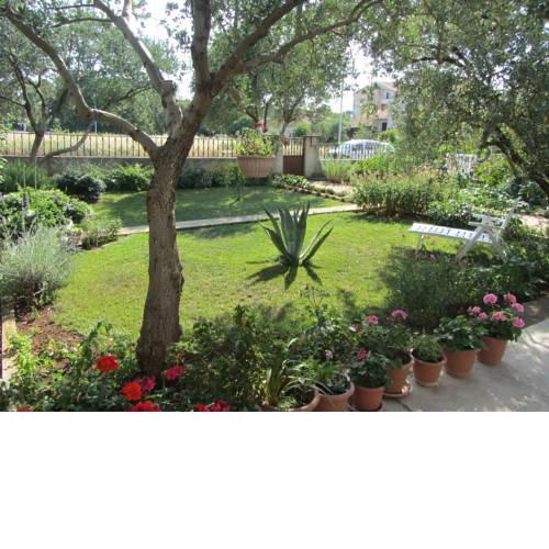 Apartments Mactra