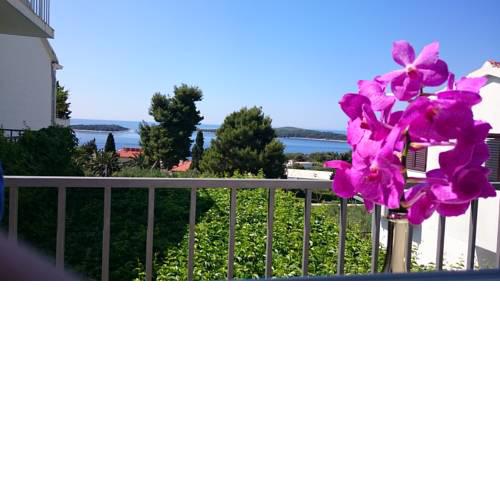 Apartments Mare
