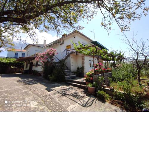 Apartments Marica