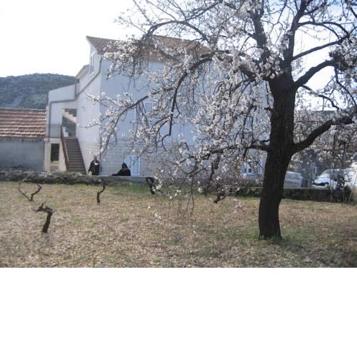 Apartments Marušić