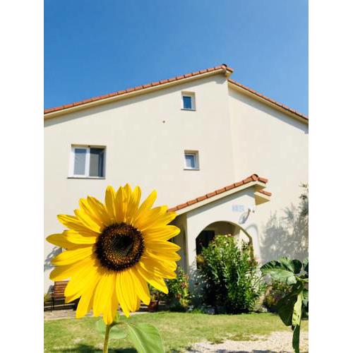 Apartments Milas