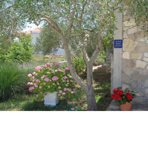 Apartments Milena