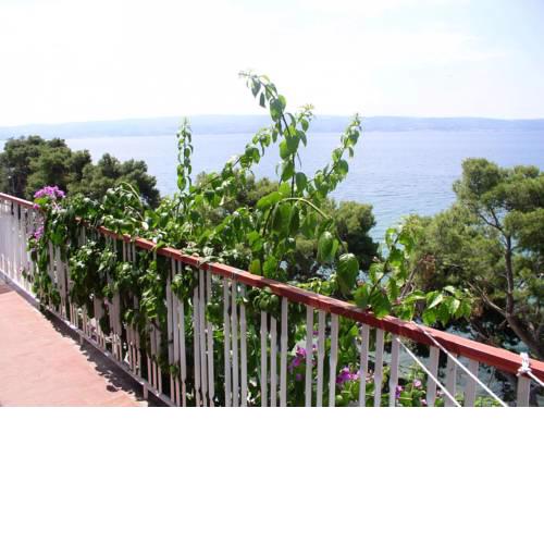 Apartments Milica